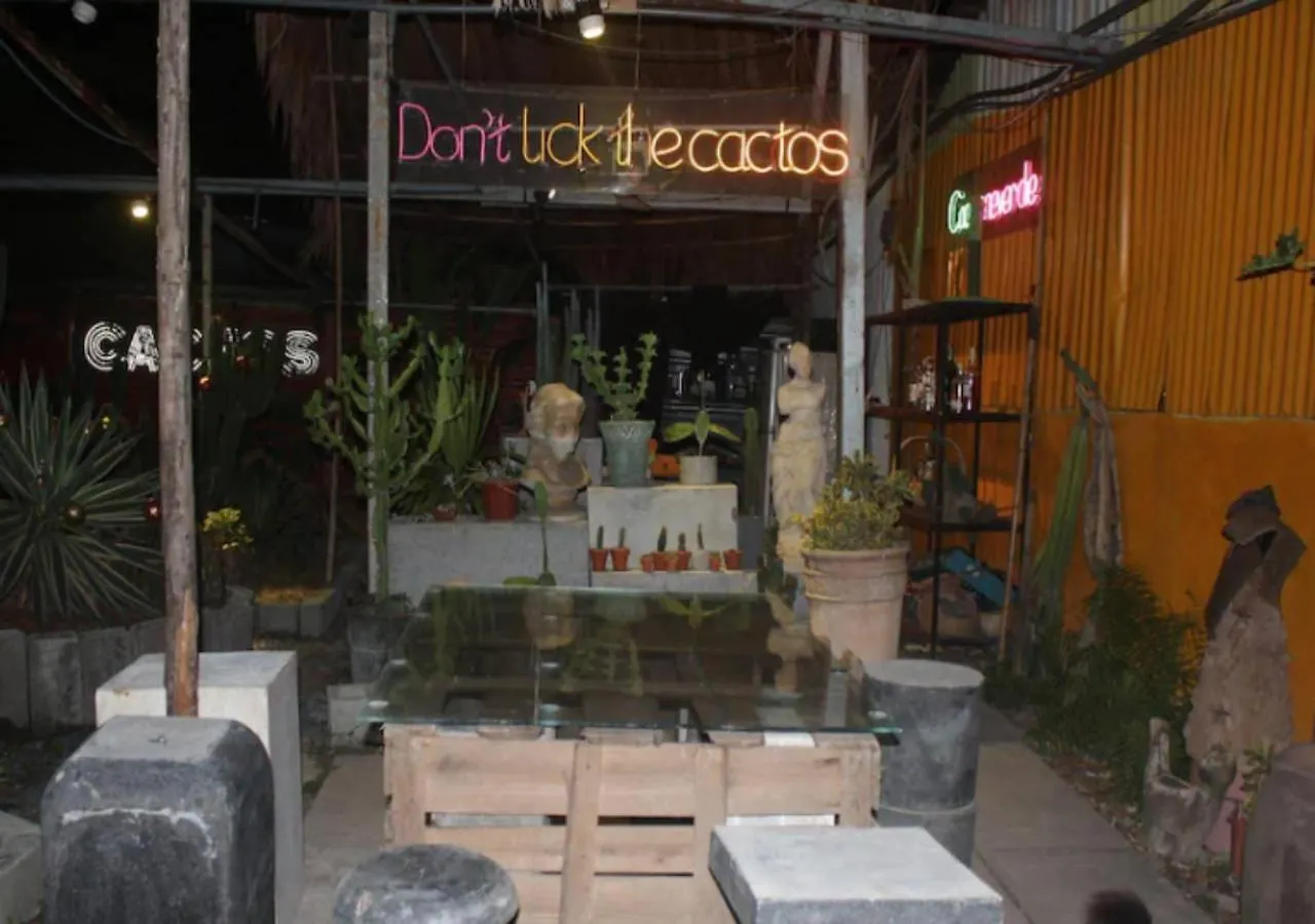 Cactos Bar & Homestay Ho Chi Minh-staden Vietnam