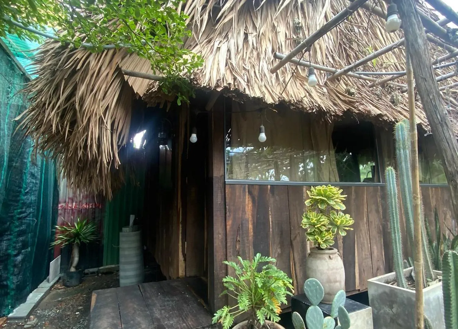 Cactos Bar & Homestay Ho Chi Minh-staden 0*,  Vietnam