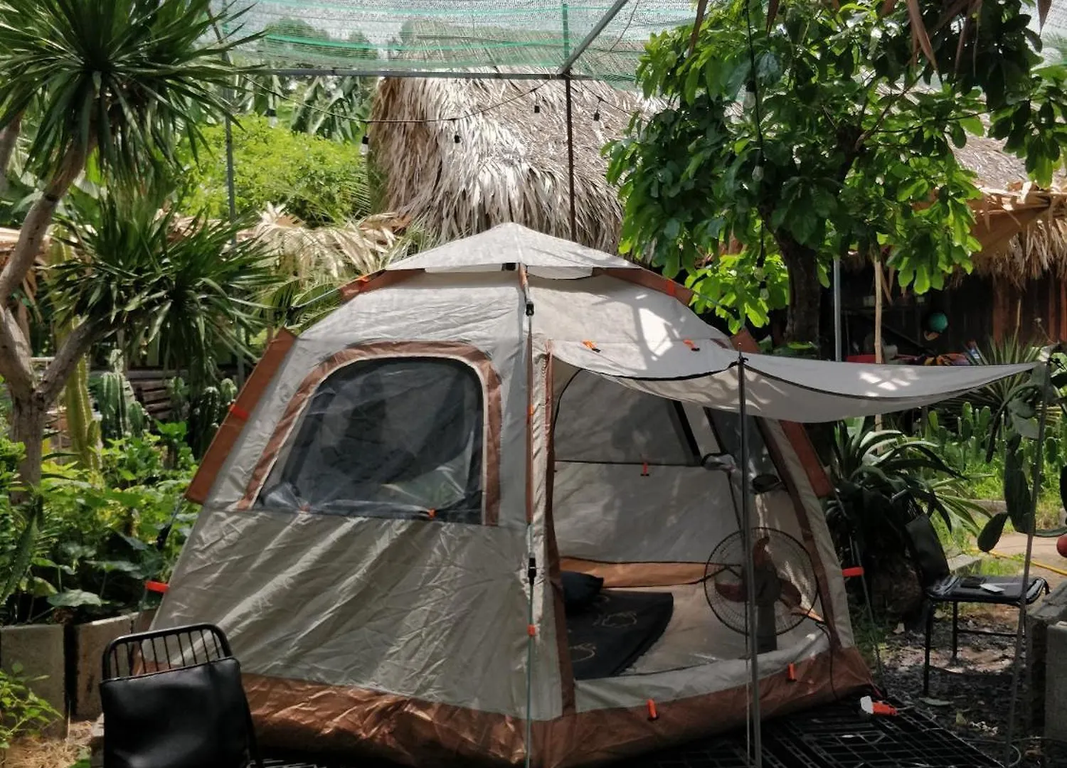 Cactos Bar & Homestay Ho Chi Minh City Bed & Breakfast