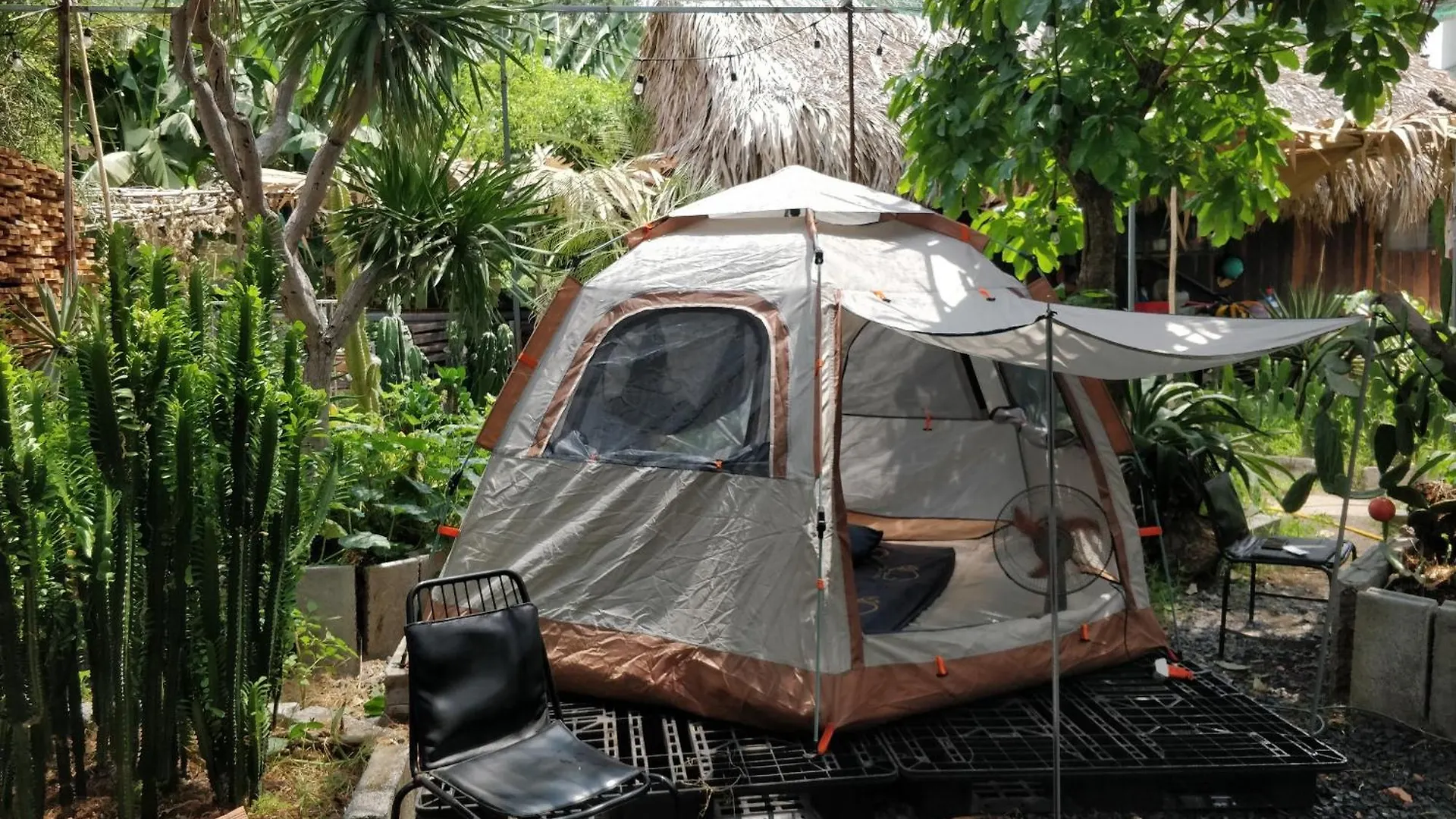 Bed & Breakfast Cactos Bar & Homestay Ho Chi Minh City