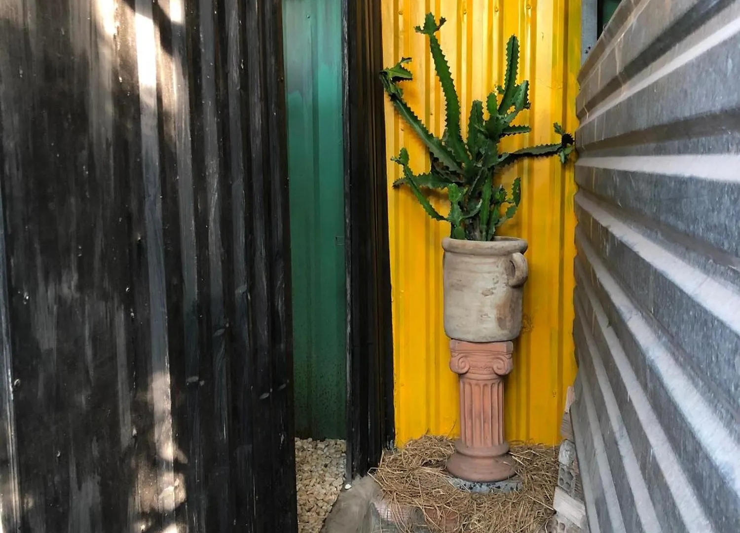 Bed & Breakfast Cactos Bar & Homestay Ho Chi Minh City