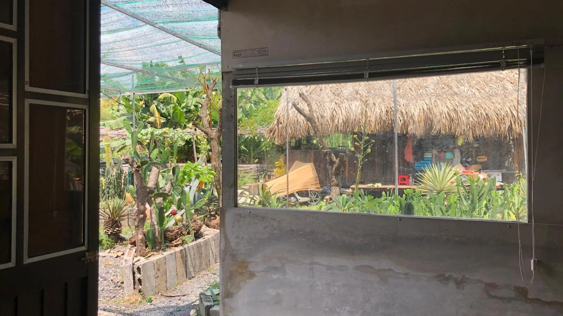 Cactos Bar & Homestay Ho Chi Minh City Bed & Breakfast