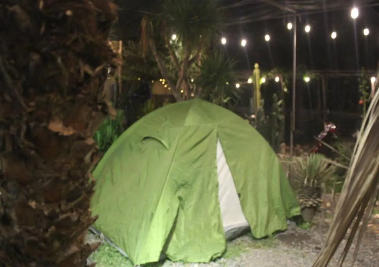 Bed & Breakfast Cactos Bar & Homestay Ho Chi Minh City