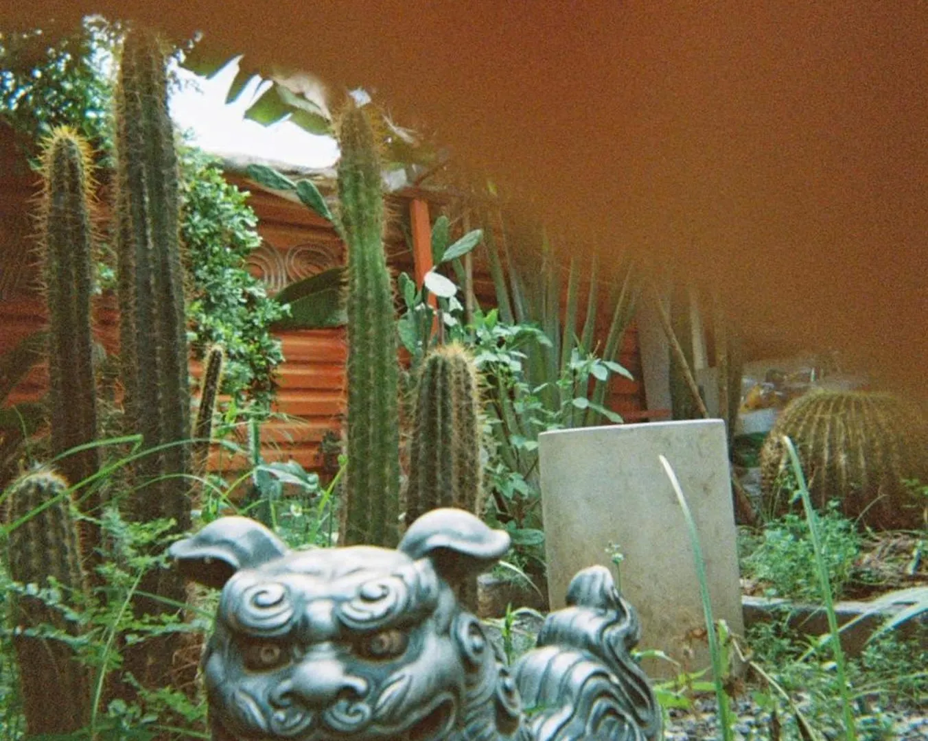 Bed & Breakfast Cactos Bar & Homestay Ho Chi Minh City Vietnam