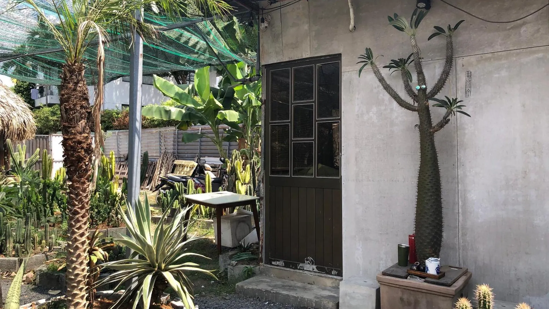 Cactos Bar & Homestay Ho Chi Minh City Bed & Breakfast